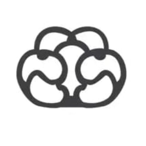 an image of an abstract interconnected design